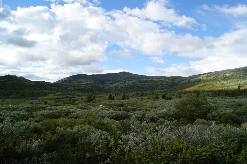 Sulseter Fjellstugu Lägenhet Vinstra