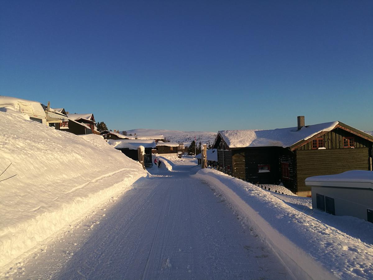 Sulseter Fjellstugu Lägenhet Vinstra