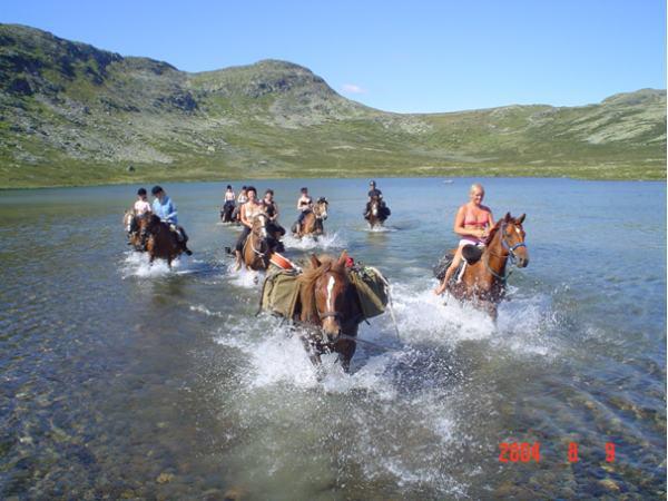 Sulseter Fjellstugu Lägenhet *