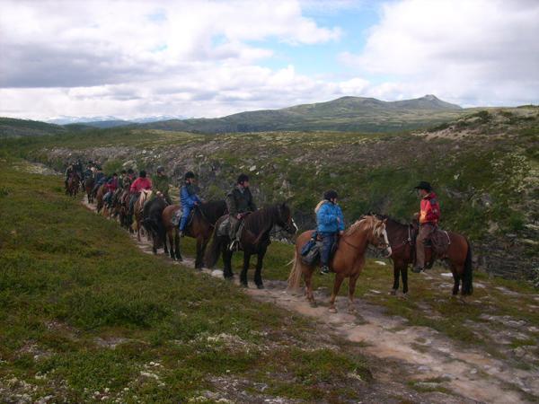 Sulseter Fjellstugu Lägenhet *