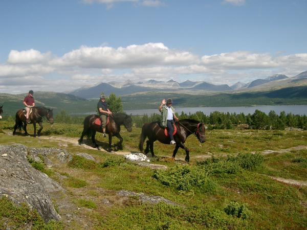 Sulseter Fjellstugu *