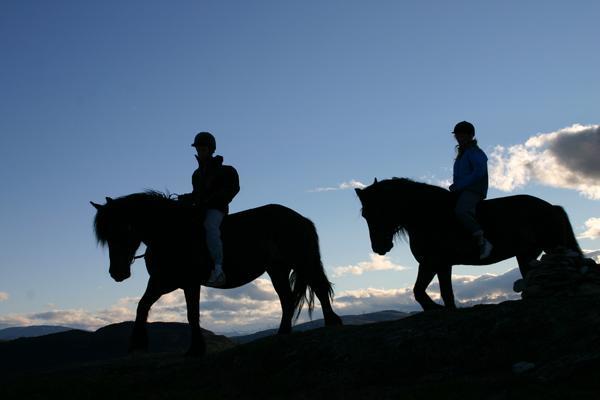Sulseter Fjellstugu Lägenhet