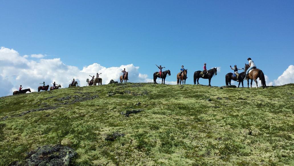 Sulseter Fjellstugu * Vinstra