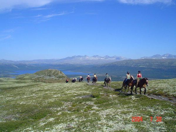 Sulseter Fjellstugu Lägenhet *