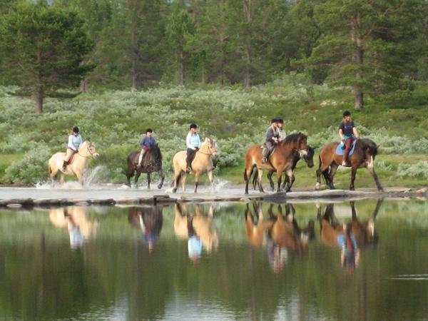 Lägenhet Sulseter Fjellstugu